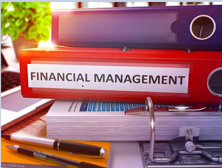 Accountant's Guide to Financial Management - CPA Self Study -Self Study